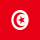 tunisia saudi visa agnency